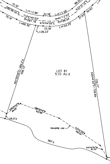 Lot 61